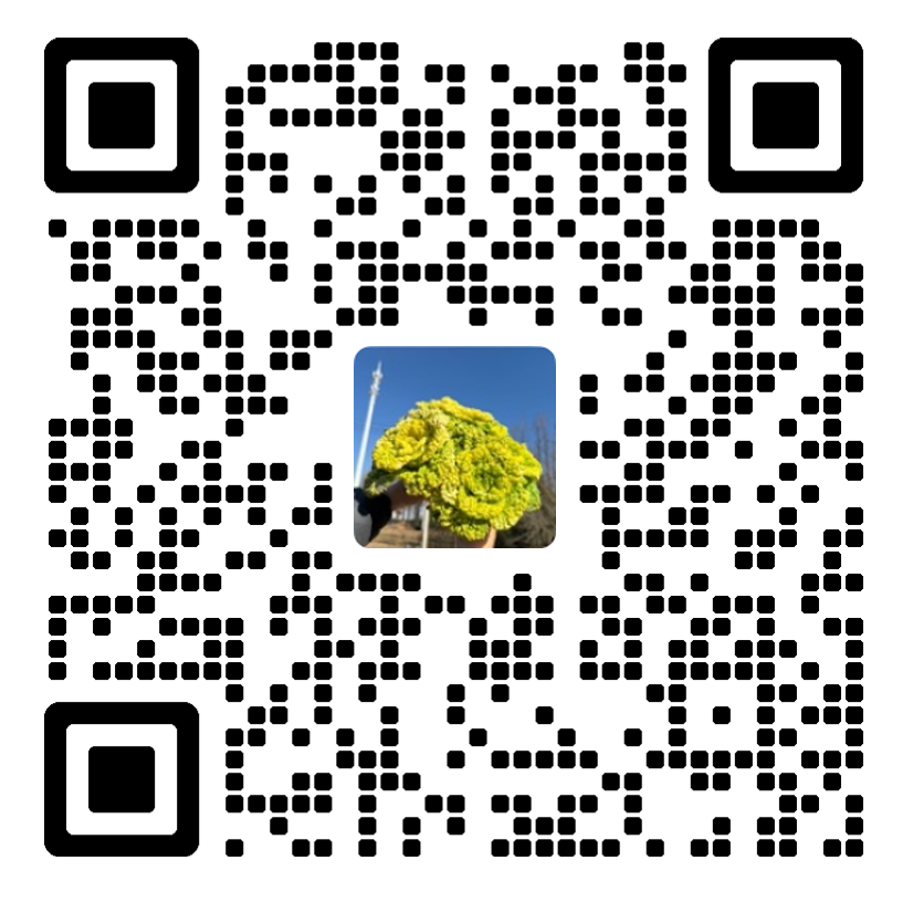 艾克森客服二維碼 艾克森客服二維碼